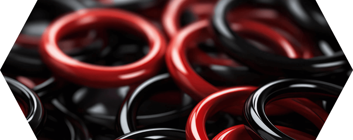 O-Ringe rot und schwarz