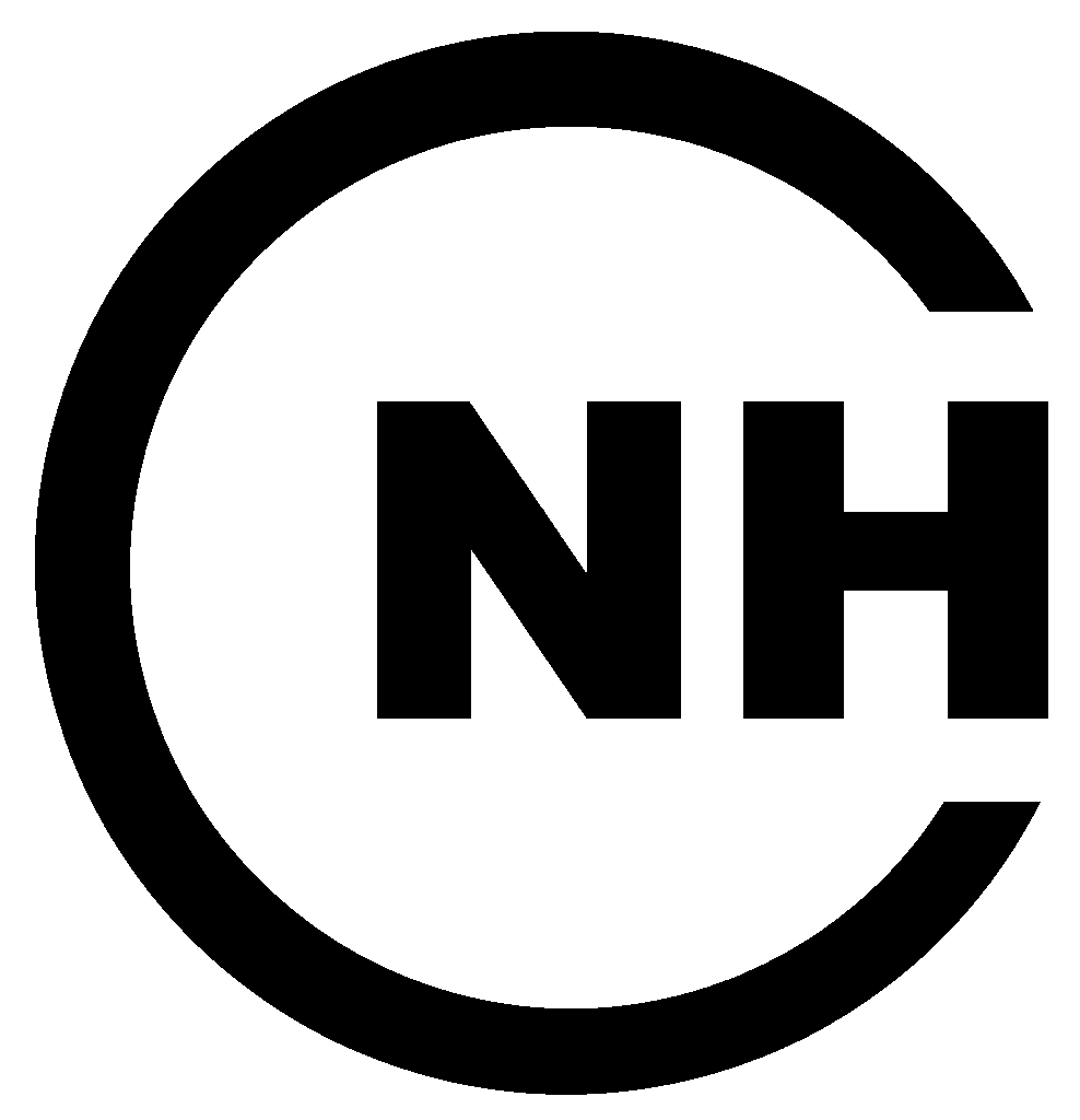 NH Logo Phase grau