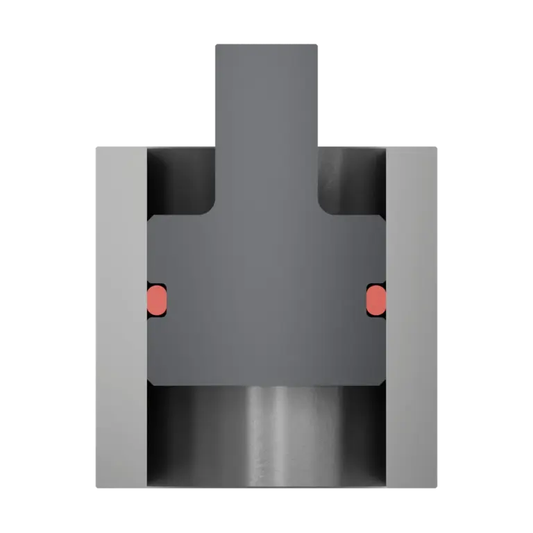 Cross-sectional view of a piston seal with an O-ring