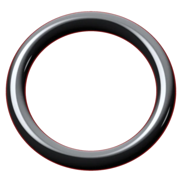 ECOLAST FFKM O-ring from NH O-RING